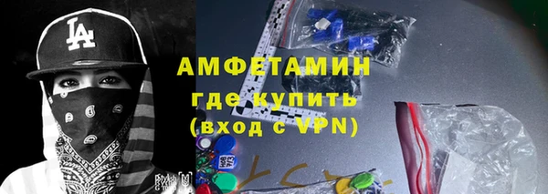прущие грибы Горно-Алтайск