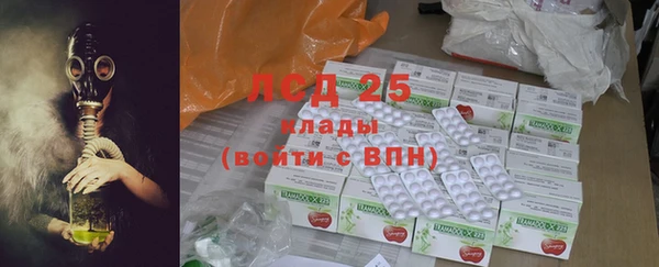 прущие грибы Горно-Алтайск