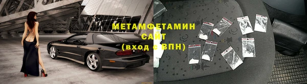 прущие грибы Горно-Алтайск