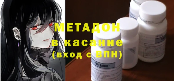прущие грибы Горно-Алтайск