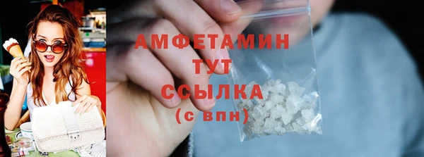прущие грибы Горно-Алтайск