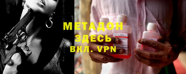 прущие грибы Горно-Алтайск
