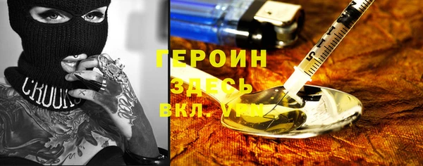 прущие грибы Горно-Алтайск