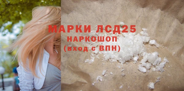прущие грибы Горно-Алтайск