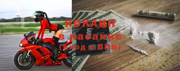 прущие грибы Горно-Алтайск