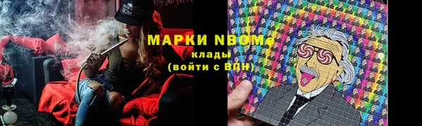 прущие грибы Горно-Алтайск
