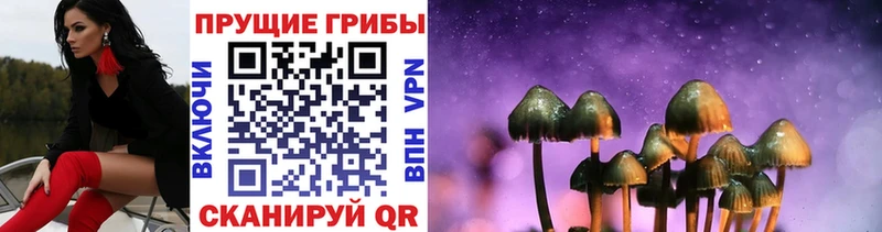 Купить закладки  Беслан  Галлюциногенные грибы Magic Shrooms 